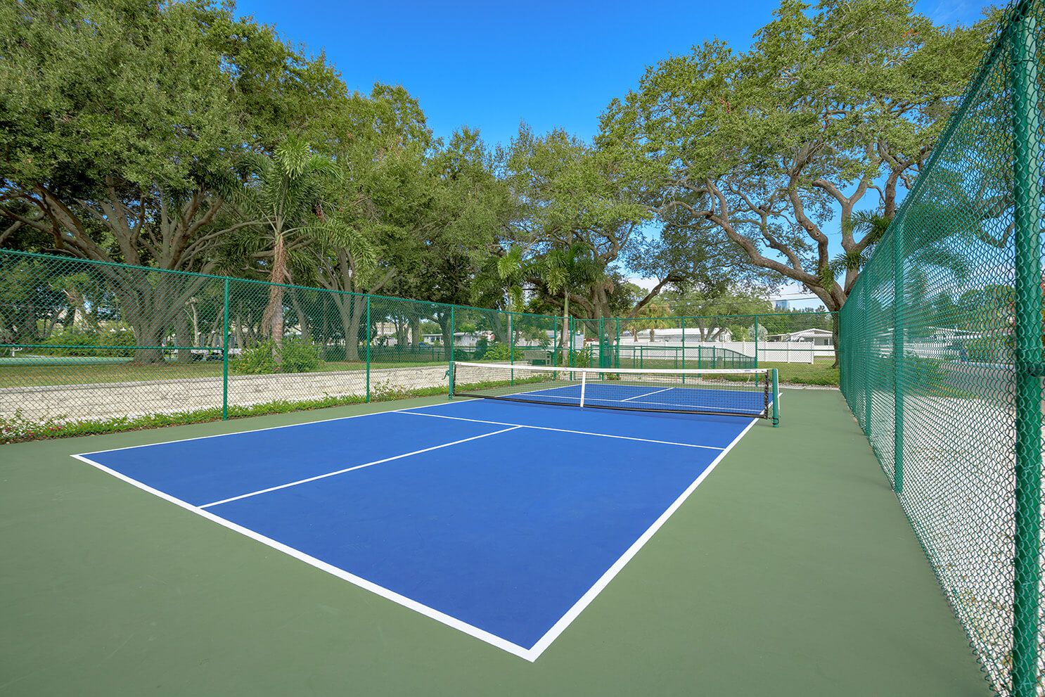 Enclosed outdoor pickleball court with blue playing surface and green fencing in a park-like setting.